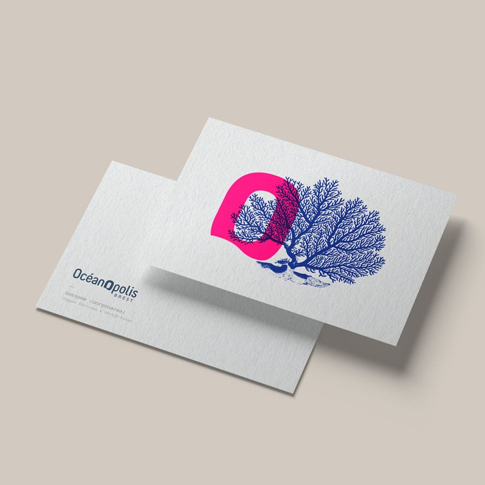 oceanopolis postcard RV