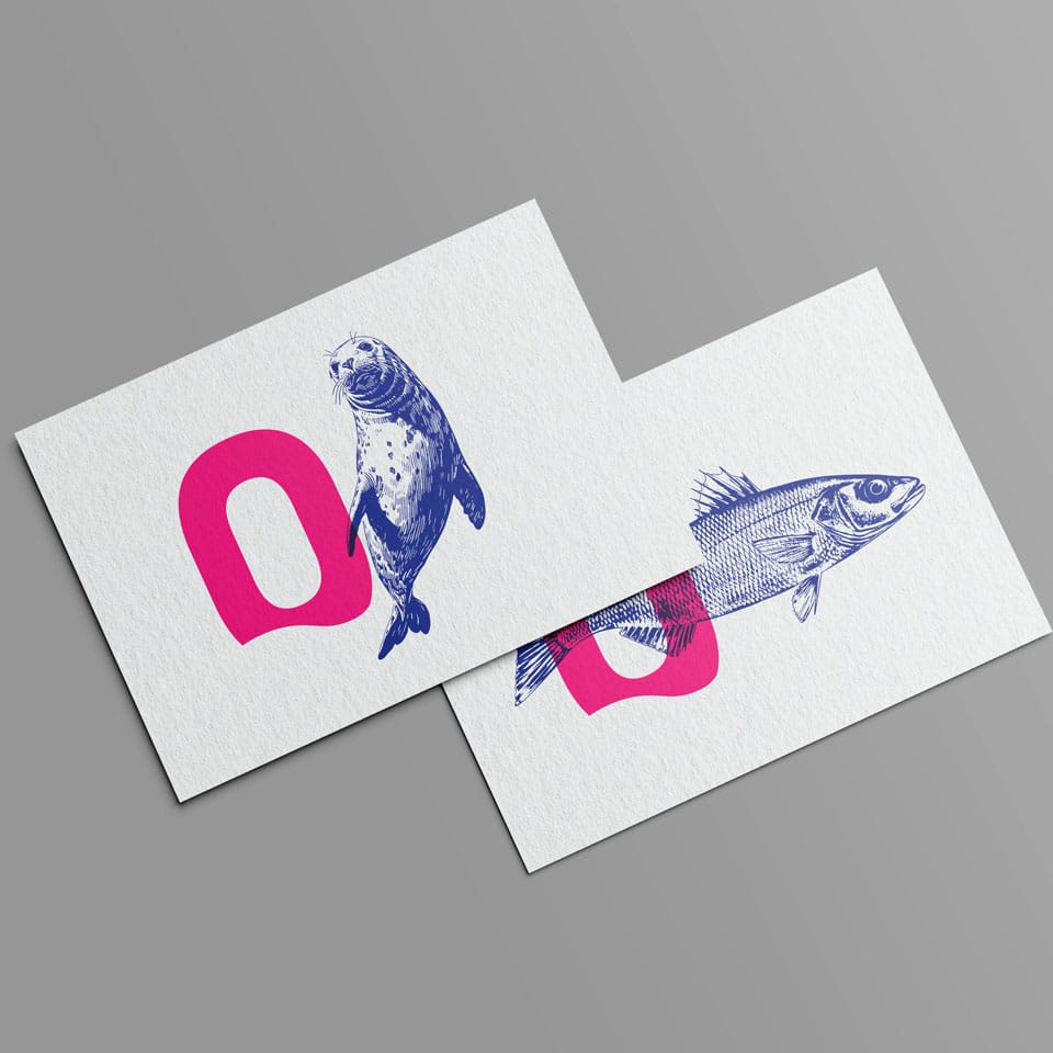 oceanopolis postcard x2 2