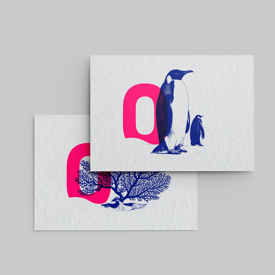 oceanopolis postcard x2